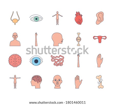 eye and human body icon set over white background, line style, vector illustration
