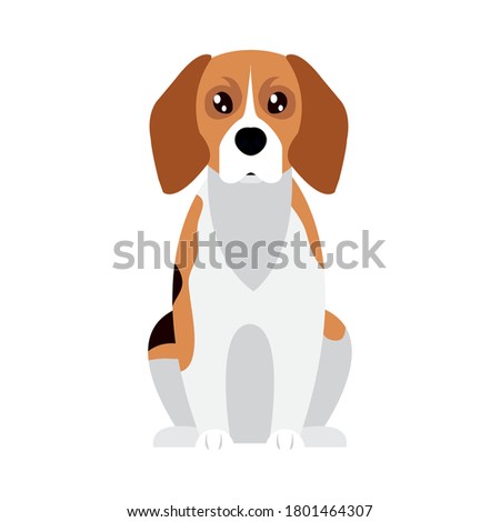 cartoon beagle dog icon over white background, flat style, vector illustration