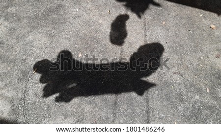 The shadow is on the cement floor,dog is jumping.