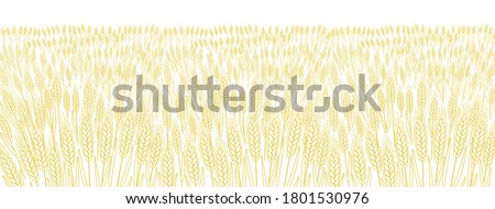 Cereal field. Leaves and ears of wheat wrapper. Agriculture straw. Horizontal banner background. Dry yellow grass meadow. Orange contour vector line. Bread wrapper. Royalty-Free Stock Photo #1801530976