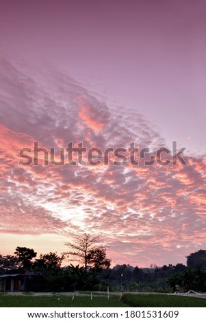 sunrise sunshine landscape with beautiful purple orange red sky, great for background, wallpaper