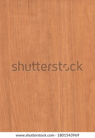 wood grain texture. natural background wood pattern