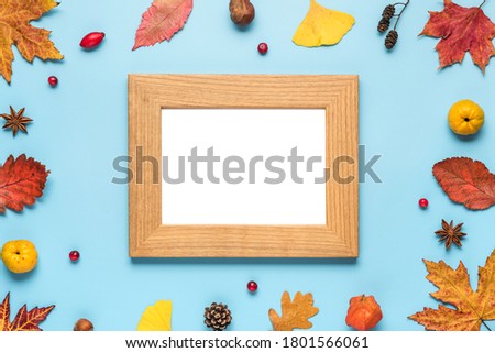 Thanksgiving autumn photo frame. Dried leaves, flowers, nuts, berries on blue background. Flat lay, mock up. top view with copy space