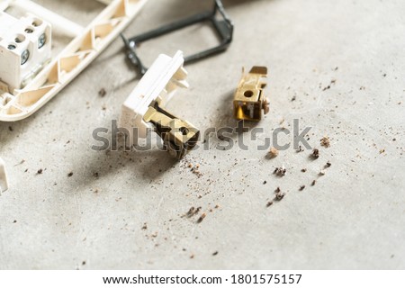 The electrical plug burned out because Ants make their nests in a power outlet. Short circuit electric concept