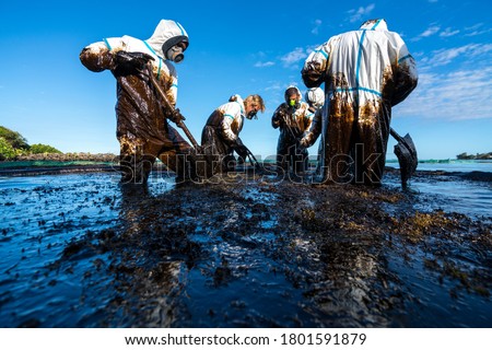 Volunteers clean the ocean coast from oil after a tanker wreck. Mauritius Royalty-Free Stock Photo #1801591879