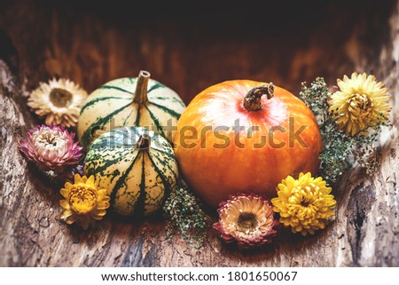 Thanksgiving day, autumn greeting background. Fall season still life concept. Pumpkins and dried flower. Autumn harvest festival