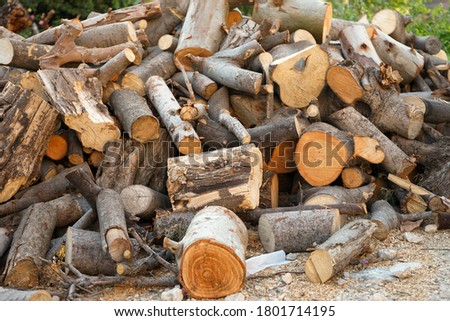  Different size chopped firewood stashed outside not organized prepared for fireplace