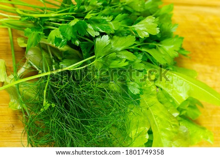 
fresh parsley, dill, salad on a wooden cutting board Royalty-Free Stock Photo #1801749358