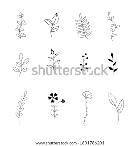 Flower Icons Set Flat Silhouette Isolated On White Artwork Collection White Leaves Fern Forest Nature Line Art.