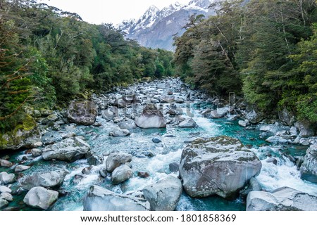 In Fiordland National Park on New Zealand's South Island a rapid glacier river flows through temperate rainforest area. Huge rocks lay in the river and snow capped mountains dominate the background. Royalty-Free Stock Photo #1801858369