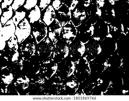 Fish scales texture. Scales background.Grunge texture. Grunge black and white vector overlay. Grungy grainy surface.