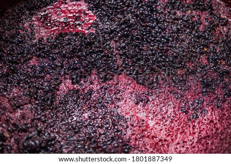 Fermentation of grape must, winemaking concept. Top view. Royalty-Free Stock Photo #1801887349