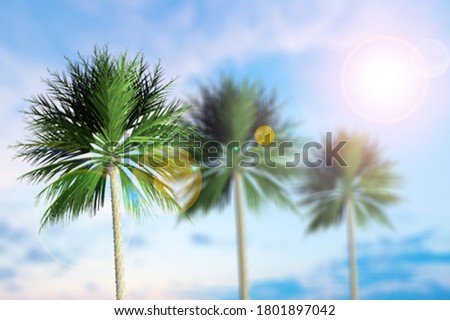 Tourism travel landscape with palms and blue sky