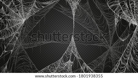 Cobweb realism set. Isolated on black transparent background. Spiderweb for halloween, spooky, scary, horror decor Royalty-Free Stock Photo #1801938355
