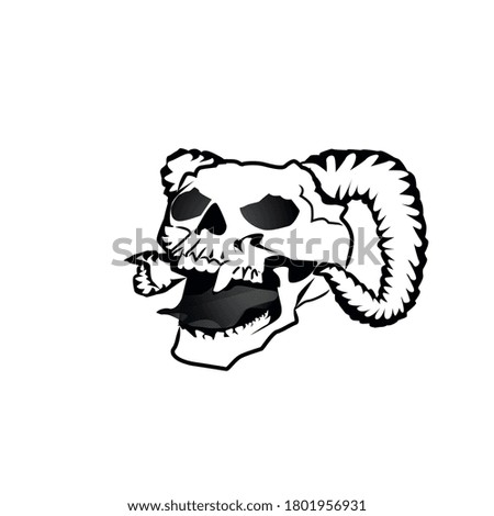 Black and white skull isolated. Vector illustration