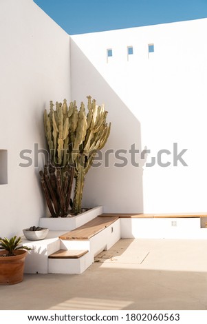 Architectural detail of bench to sit with cactus in corner of interior patio in mediterranean house in desert by the sea in summer