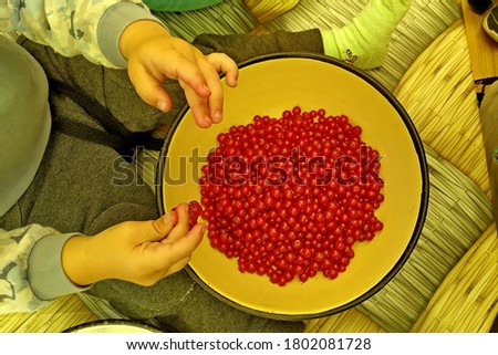 little blonde boy sitting on the table helps to sort out red currants.