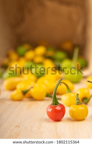 Colored peppers fallen from a basket on a table, selective focus.