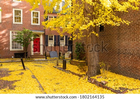 Autumn alleyway in a traditional neighborhood in Philadelphia, Pennsylvania, USA.