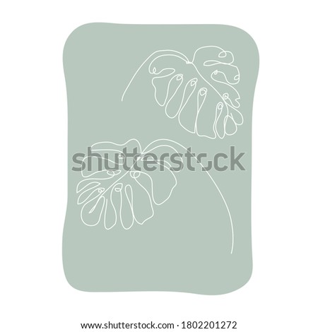 Decorative hand drawn monstera leaves, design element. Can be used for cards, invitations, banners, posters, print design. Continuous line art style