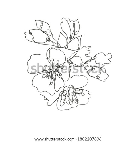 Decorative hand drawn cherry blossom sakura flowers, design element. Can be used for cards, invitations, banners, posters, print design. Continuous line art style