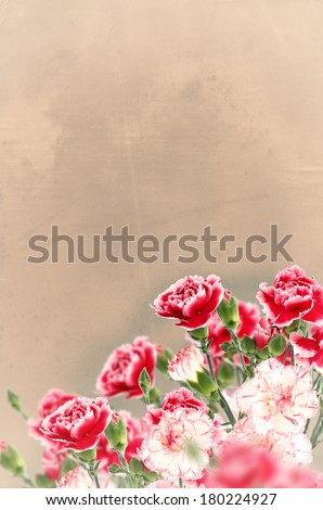 Vintage postcard with fresh flowers carnations and place for your text. Abstract background for design.