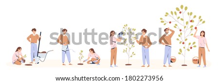 Set of couple planting and caring of tree stages vector flat illustration. Man and woman seedling, cultivation and collecting harvest isolated on white. Concept of collaboration and environment care Royalty-Free Stock Photo #1802273956