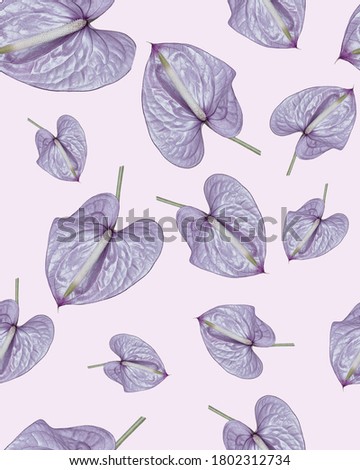 Silver Anthurium on a lilac background seamless pattern, pattern on the fabric. Copy space.