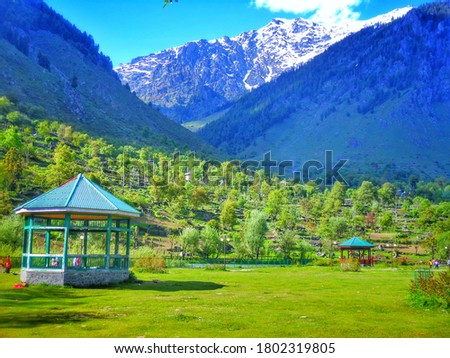 Valley In north east India gifted with lush green trees, snowy mountains and blue sky. A perfect picture to set as a wallpaper