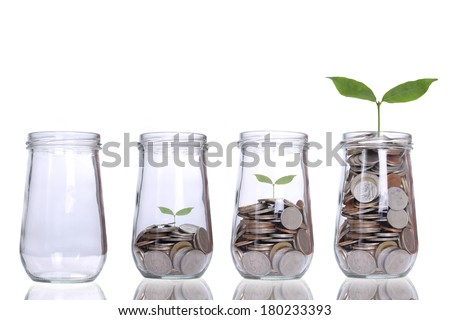 Money growing plant step with deposit coin  in bank concept Royalty-Free Stock Photo #180233393