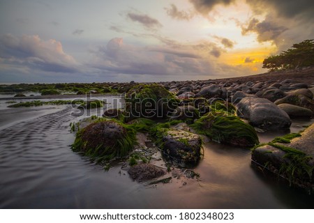 Seascape during sunset. Beach with many stones covered by long green seaweeds. Ocean low tide. Nature background. Cloudy sky. Horizontal layout. Selected art focus. Klotok beach, Bali, Indonesia