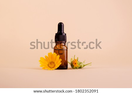 Dark cosmetic bottle of aromatic oil for herbal medicine with calendula flower on a beige paper backdrop with trendy shadows. Marigold extract.