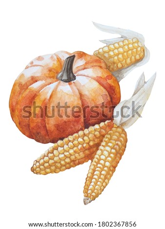 
Watercolor autumn hand drawn illustration with orange pumpkin and corn.