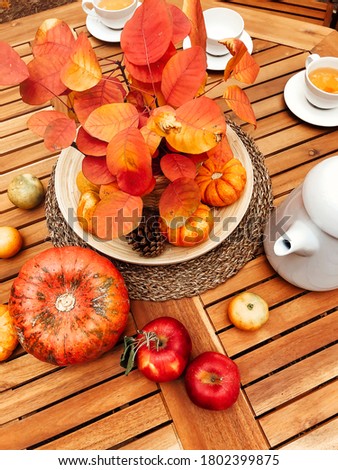 From above of autumn composition of fresh harvest arranged on wooden table with teapot and cups with hot drink