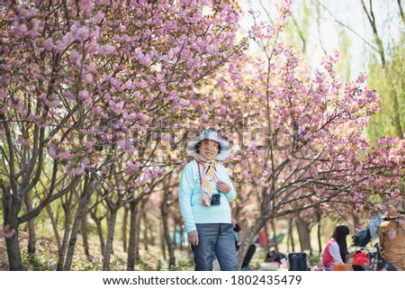 Portrait of happy senior beautiful woman in spring park