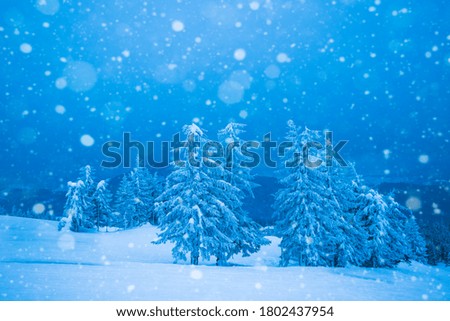 Fascinating cold landscape of the snowy sea of the gloomy sky of the forest and the frozen sea. The concept of a beautiful northern country