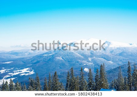 Beautiful mountain forest landscape on a sunny warm day against the backdrop of mountains of trees and the sun. The concept of travel in the mountains and outdoor recreation