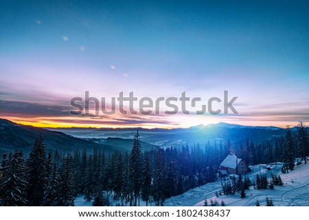 Beautiful snow-covered landscape, bright slender green tall spruce trees grow on a hill against the backdrop of a mountain and a dark shining starry sky. Winter Nature Beauty Concept. Copyspace
