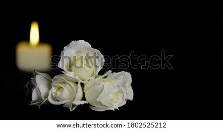 Beautiful White roses with a burning candle on the dark background. Funeral flower and candle on table against black background with copy space. Funeral symbol. Mood and Condolence card concept. Royalty-Free Stock Photo #1802525212
