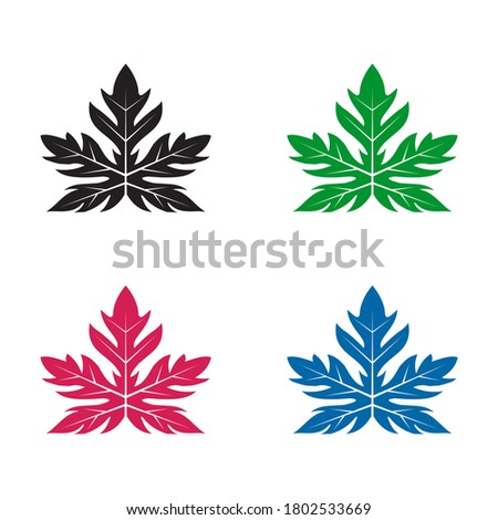 Papaya leaf logo design vector template