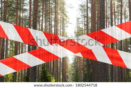 Closed green wild forest. Save the forest from fire. Beautiful green rain forest closed. No entry pine forest. Fire protection. Public park closed