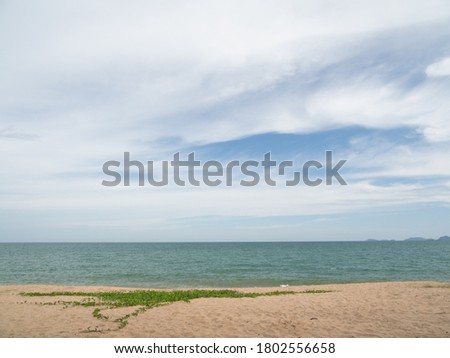 Front view of the beach with seagrass covered with blue sea and sky and clouds. White that looks comfortable on the eyes in the evening of the day Suitable for resting on a long weekend all day 