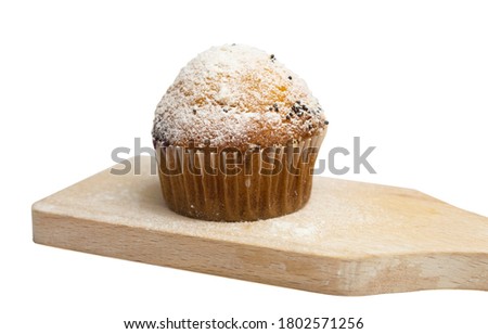Cupcake on an isolated background as a background for the text. One muffin in a paper mold and sprinkled with powdered sugar