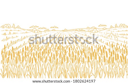 Agriculture wheat field. Hand drawn sketch. Rural landscape panorama. Cereal harvest. Dry grass meadow. Contour vector line. Bread wrapper. Copy space. Royalty-Free Stock Photo #1802624197