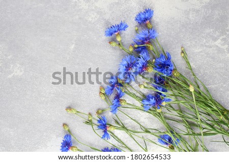 Blue cornflowers bouquet, summer flowers on grey, floral background, copy space, top view. Greeting card background