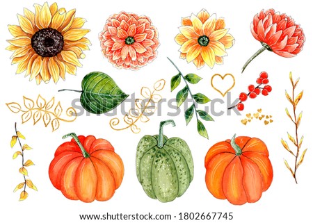 Hand Drawn watercolor Thanksgiving set, pumpkins and flowers with leaves, berries and gold glitter graphic elements.