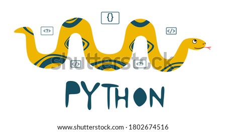 Python code language sign. Programming coding and developing concept. Software development. Programming language