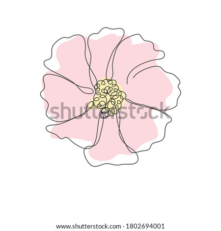 Decorative hand drawn cosmos flower, design element. Can be used for cards, invitations, banners, posters, print design. Continuous line art style