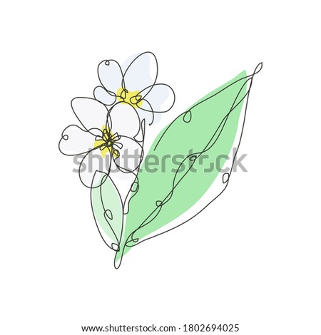 Decorative hand drawn plumeria flower, design element. Can be used for cards, invitations, banners, posters, print design. Continuous line art style