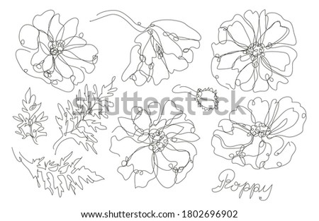 Decorative hand drawn poppy flowers set, design elements. Can be used for cards, invitations, banners, posters, print design. Continuous line art style